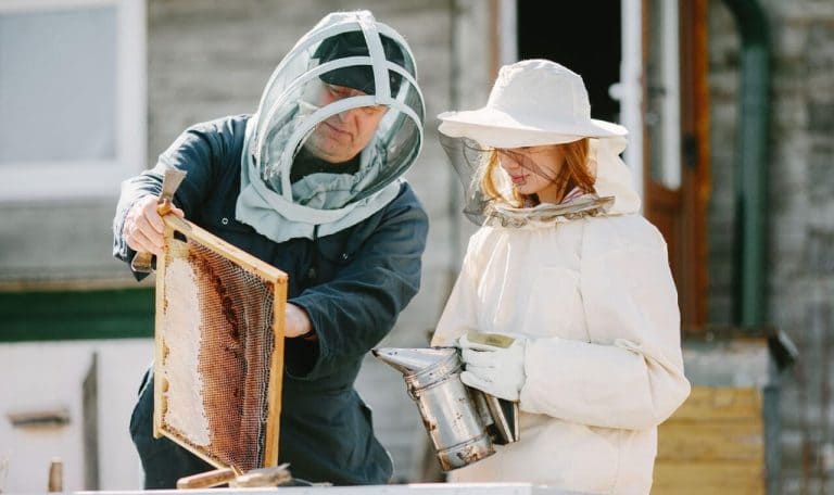 Sobre suas preferências e sabores