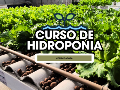 Formação de Apicultores